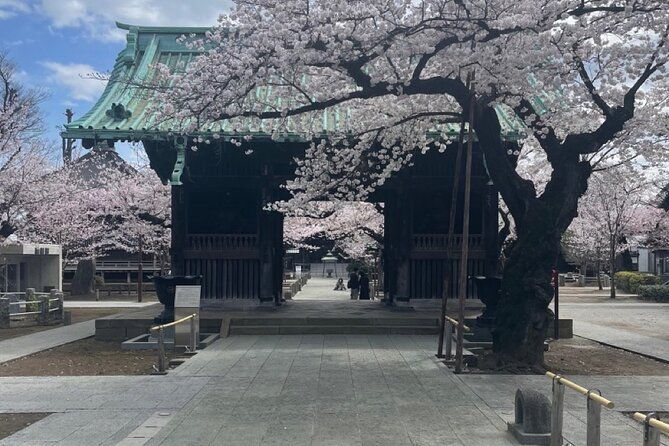 unlock-tokyo-for-your-city-private-adventure