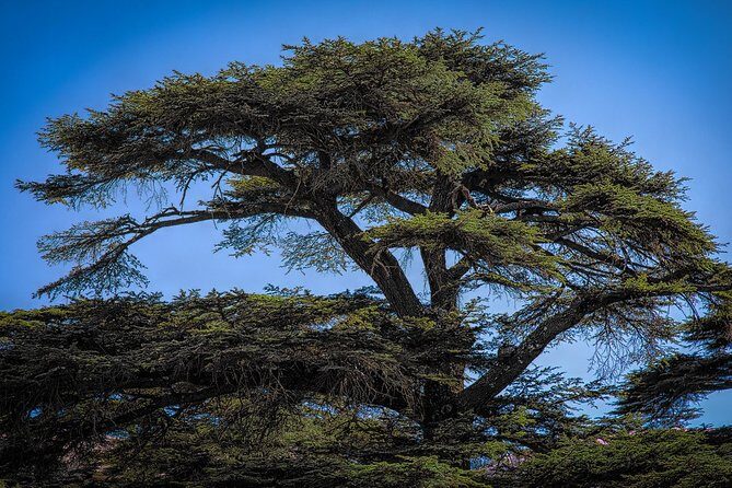 Unlocking the Wonders of Lebanon: Journey Through Qadisha Valley - Final Thoughts: Who Should Consider This Tour?