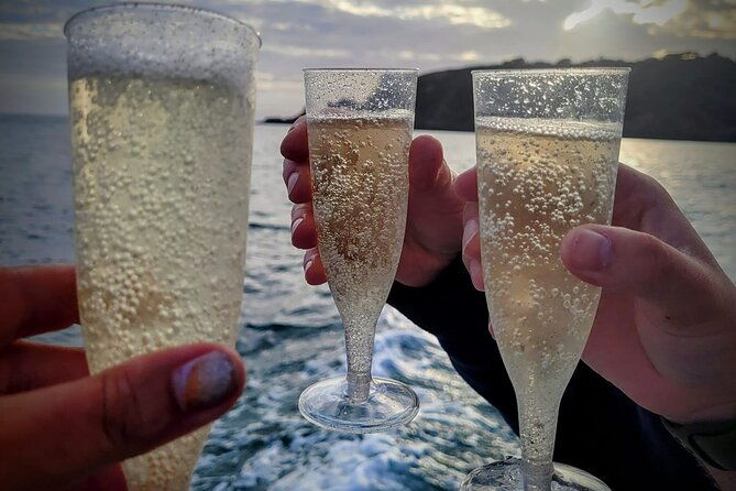 unrivalled-coastal-tour-to-saints-bay-harbour