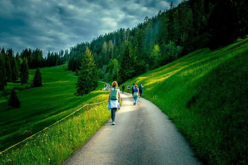 Unterseen: Alpine Cheese Farm Visit & Cheesemaking - Cheesemaking Workshop: A Hands-On Affair
