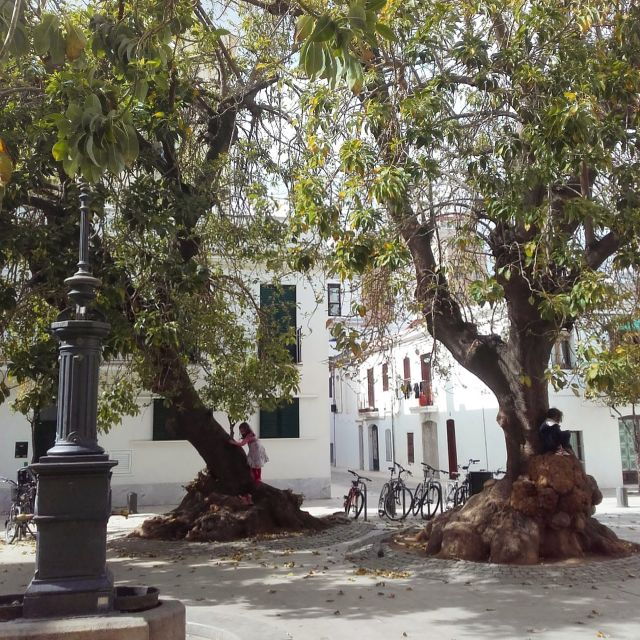 unusual-barcelona-bike-tour-in-french