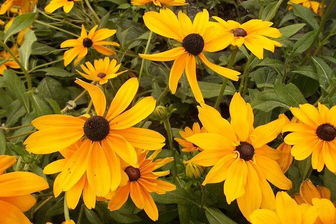 unusual-prague-6-hours-private-tour-to-spots-known-and-unknown