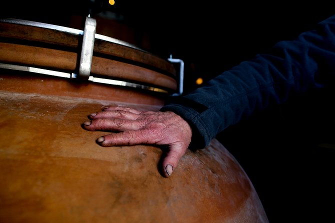 unusual-visit-tasting-of-our-organic-wines