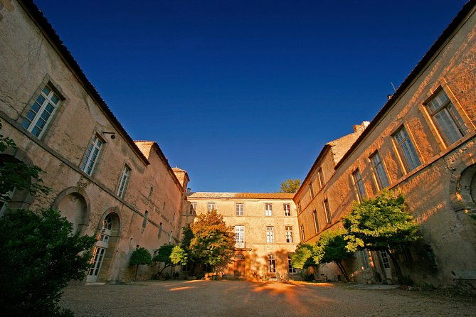 unusual-visit-tasting-of-our-organic-wines