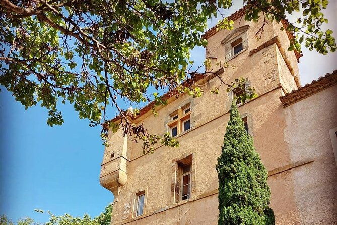 unusual-visit-tasting-of-our-organic-wines