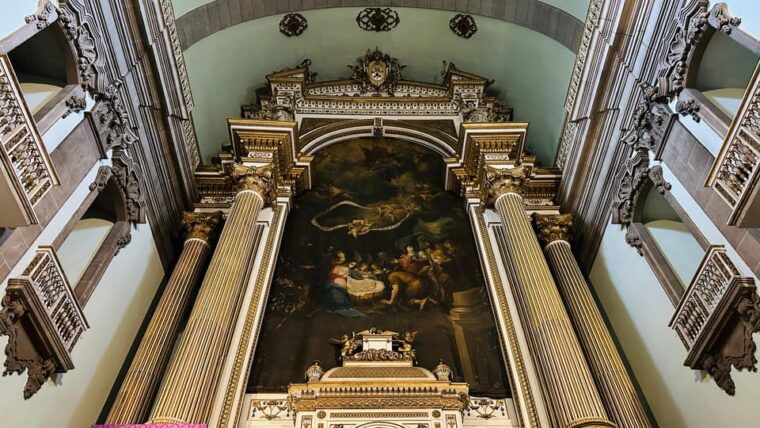 unveiled-secrets-of-porto-olive-oil-tasting