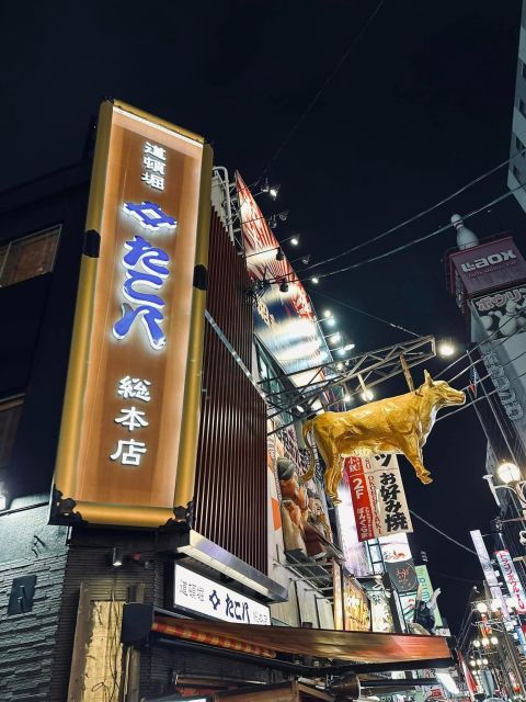 unveiling-osaka-dotonbori-a-foodie-friendly-tour-with-guide