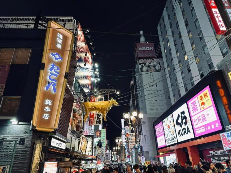 unveiling-osaka-dotonbori-a-foodie-friendly-tour-with-guide