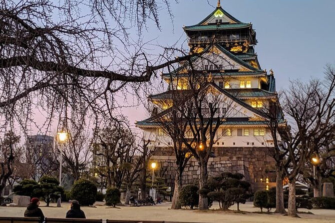 unveiling-osaka-dotonbori-and-namba-a-private-half-day-lunch-tour