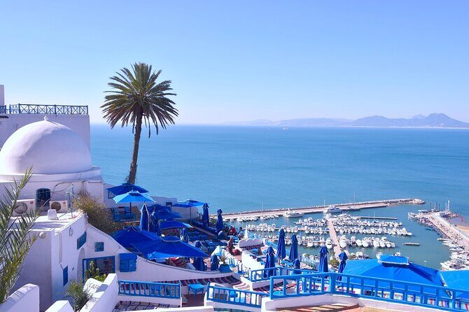 Unveiling the Beauty of Sidi Bou Said and Carthage Private Tour - Practical Details and What to Expect