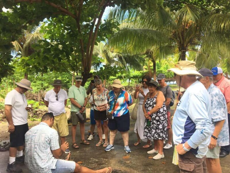 Upolu Samoa Full Day Private Tour - Final Thoughts: Is This Tour Right for You?