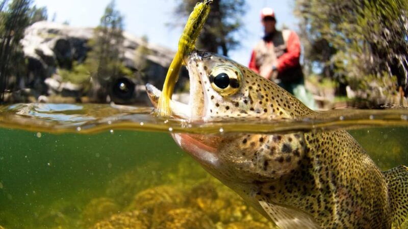 upper-colorado-river-guided-fly-fishing-trip