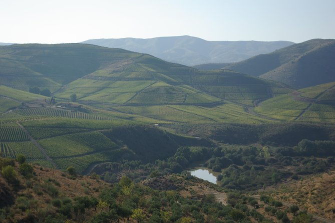 upper-douro-walk-winetour