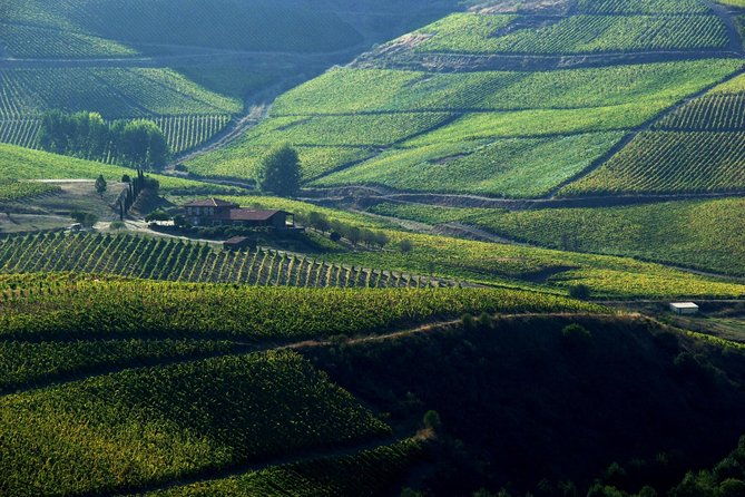 upper-douro-walk-winetour