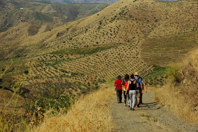 upper-douro-walk-winetour
