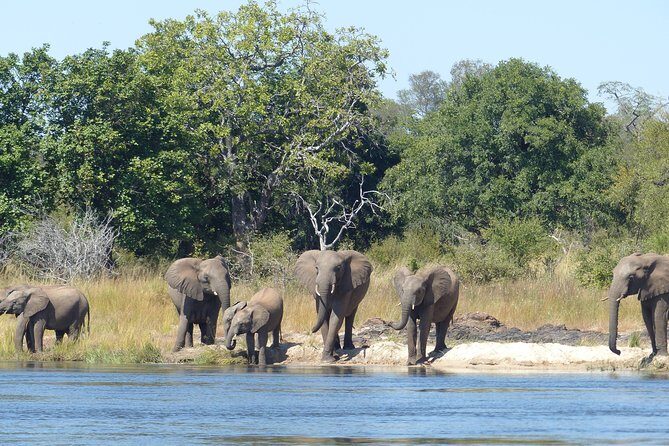 Upper Zambezi Canoeing - An In-Depth Look at the Upper Zambezi Canoeing Tour