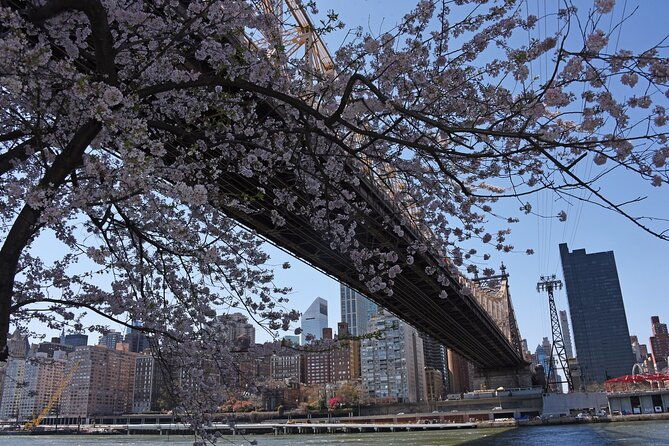 uptown-to-midtown-roosevelt-island-tour