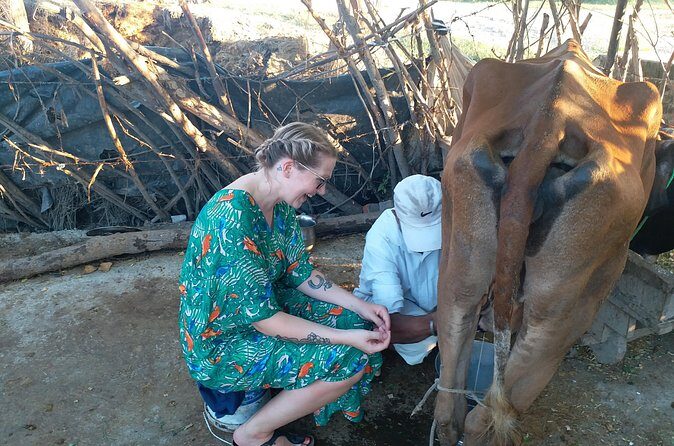 Urban Farm Trip Amritsar - Practical Tips for Visiting