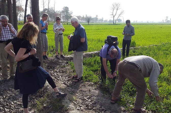 Urban Farm Trip Amritsar - Final Thoughts: Is It Worth It?