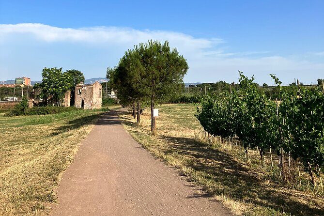 Urban Hike to the Aqueduct Park in Rome - An In-Depth Look at the Tour Experience