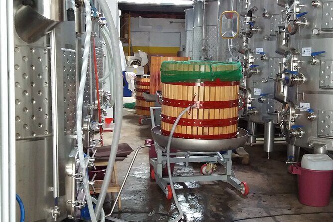 Urban winery tour, premium tasting flight & tapas - Key Points