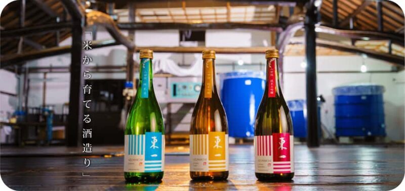 Ureshino: Gochoda Sake Brewery Tour with Tasting - The Authentic Charm of Ureshino and Gochoda Sake Brewery