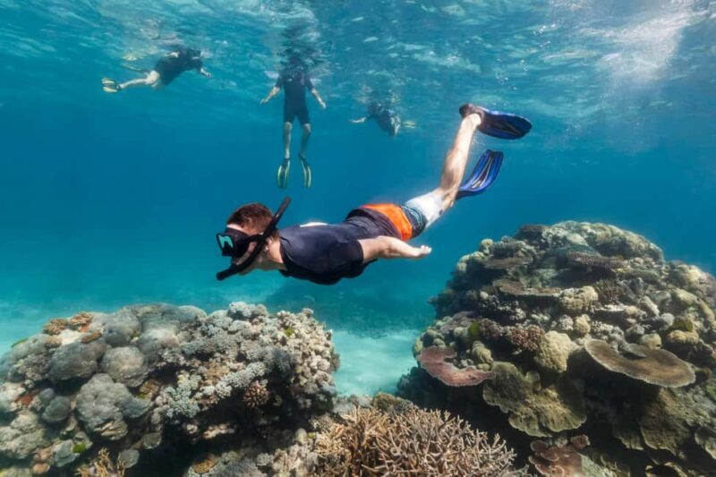 Uroa Blue Adventure - Exploring the Uroa Blue Adventure: A Detailed Review