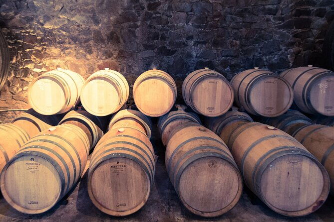 uruguay-winery-visit-and-lunch-with-wines