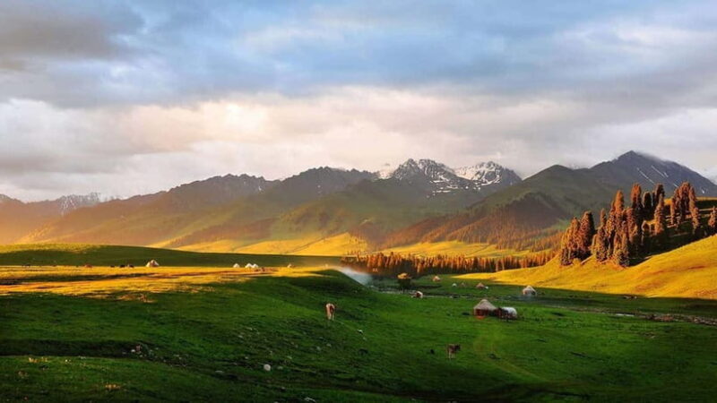 Urumqi: 10-Day Xinjiang Tour with Transfers & Hotels - Who Is This Tour Best Suited For?