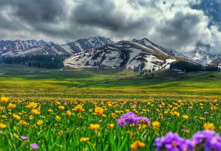 urumqi-8-day-private-tour-to-sayram-lake-and-yining