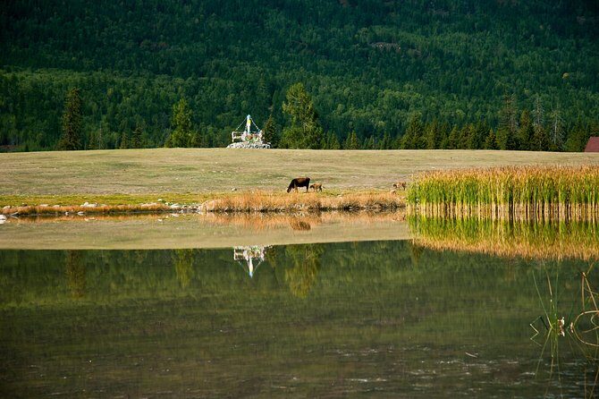 Urumqi Private Arrival Transfer: Railway Station to Hotel - The Sum Up