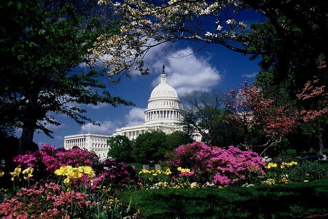us-capitol-library-of-congress-with-guided-walk-of-capitol-hill-2