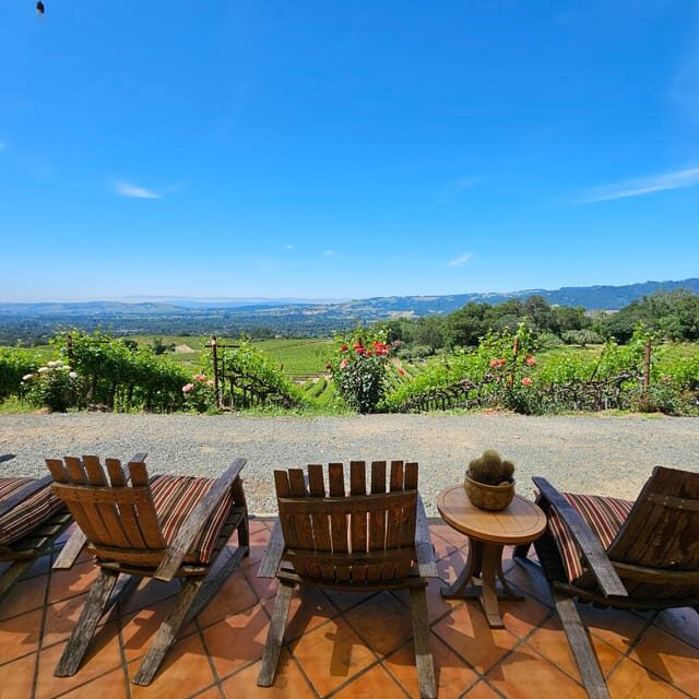 USA/California/Napa: Private Wine Tour for up to 6 guests - Discover the Charm of Napa and Sonoma with a Private Wine Tour