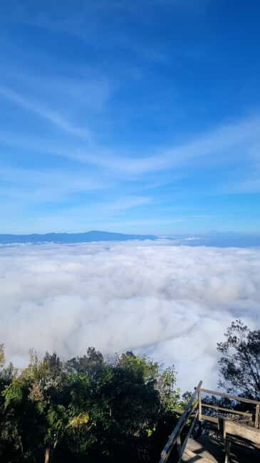 USAMBARA: 4-Day Usambara Mountains Trekking Tour - The Experience in Detail