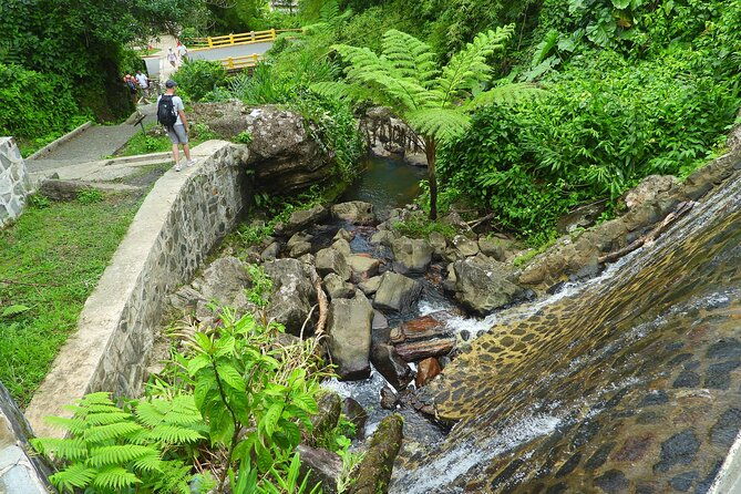 usda-el-yunque-national-forest-and-luquillo-beach-tour
