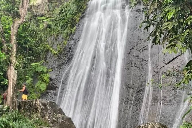 usda-el-yunque-national-forest-and-luquillo-beach-tour