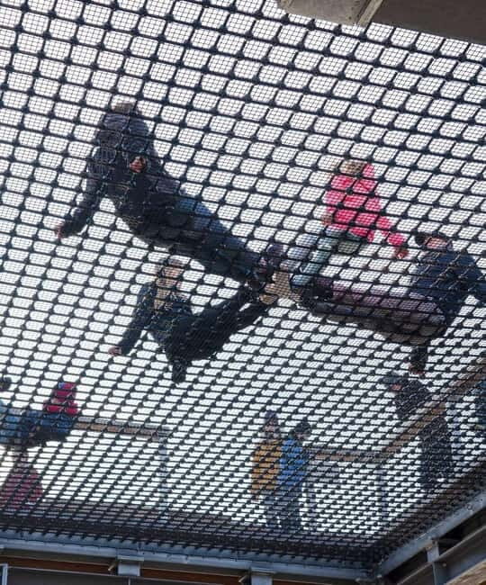 Usedom: Treetop Walk Adventure on Usedom Island - An Authentic Look at the Treetop Walk Experience