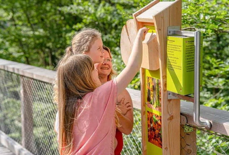 Usedom: Treetop Walk Adventure on Usedom Island - Practical Details and Tips
