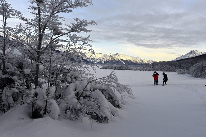 ushuaia-full-day-snow-sledding-with-huskies-snowmobile-4x4