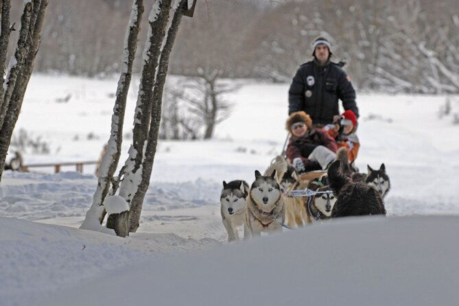 ushuaia-full-day-snow-sledding-with-huskies-snowmobile-4x4