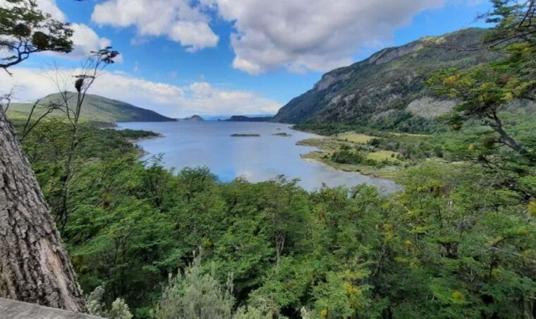 ushuaia-tierra-del-fuego-national-park-half-day-tour