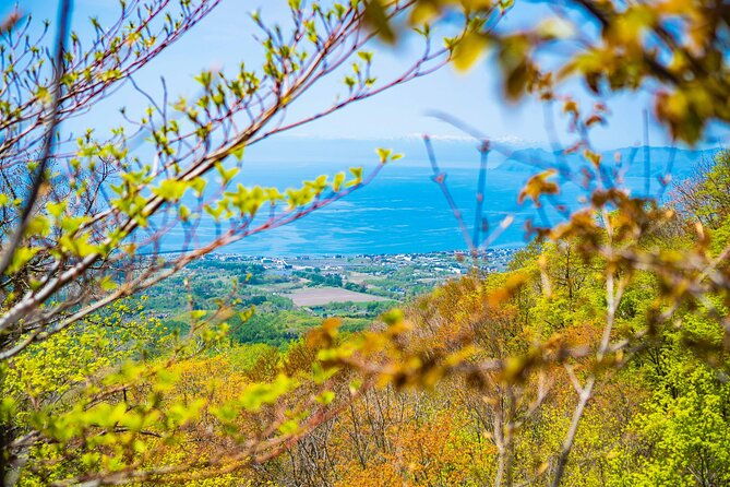 usuzan-volcano-guided-hiking-private-tour