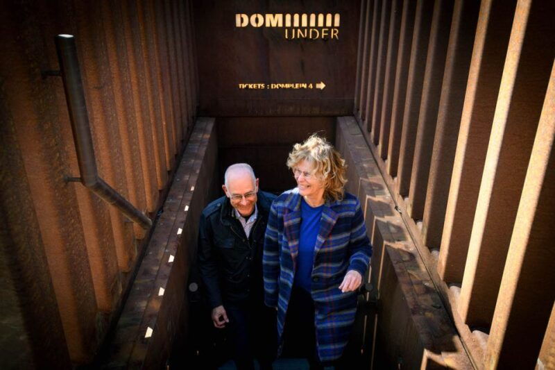 utrecht-domunder-entry-ticket-with-guide