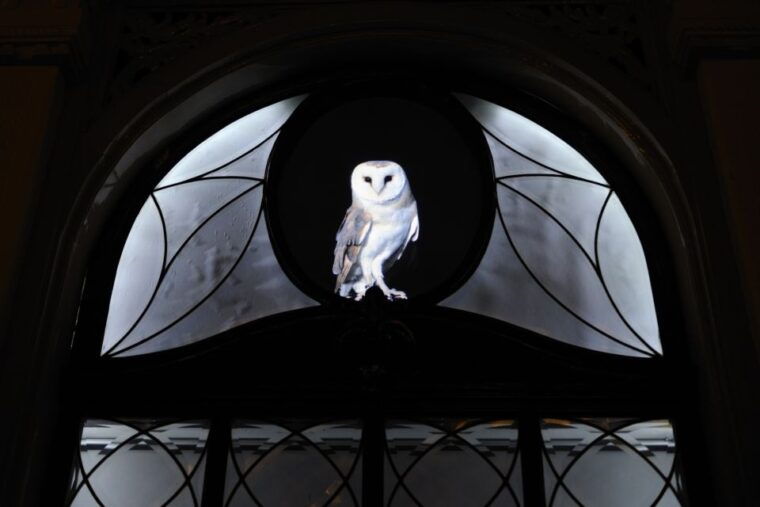 utrecht-guided-lumen-walking