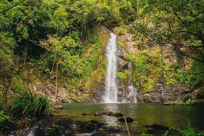 UTV 4wd Cassowary Falls and Daintree Rainforest Adventure tour - Who Would Love This Tour?
