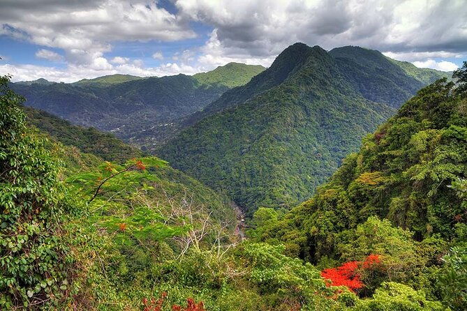 utv-and-can-am-sightseeing-tours-in-puerto-rico