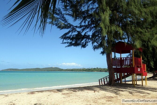 utv-and-can-am-sightseeing-tours-in-puerto-rico