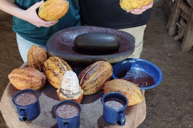 uvita-chocolate-tour