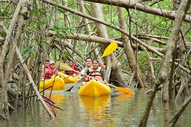 uvita-marino-ballena-national-park-mangroves-sea-kayaking