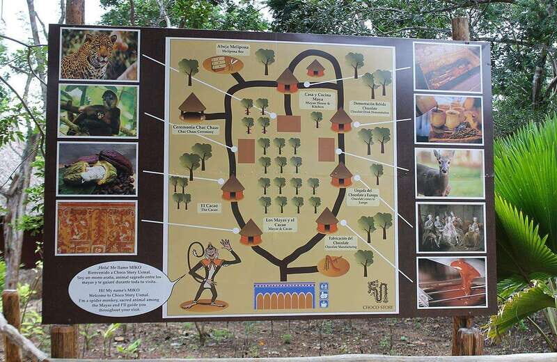 Uxmal and Choco Story Private Tour - Discovering Uxmal: A Step Back in Time